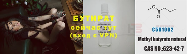 сатива Алзамай