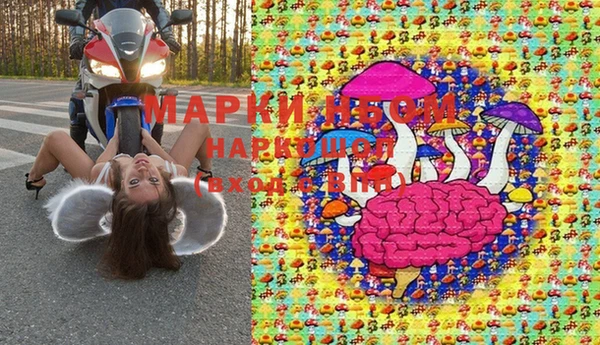 СК Аркадак