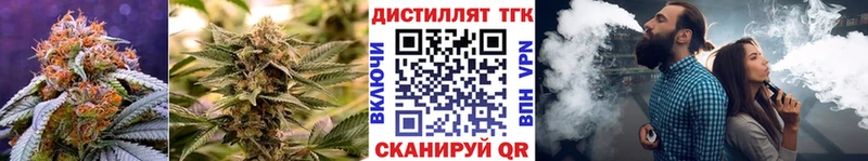 mega зеркало  нарко площадка Telegram  Дистиллят ТГК вейп  Лесной 